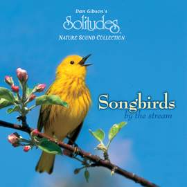 Songbirds by the Stream