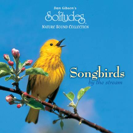 Songbirds by the Stream