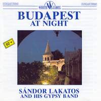 Budapest at Night