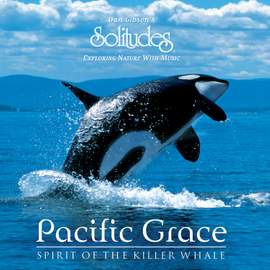 Pacific Grace Spirit of the Killer Whale