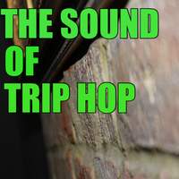 Sound of Trip Hop