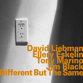 Different but the Same