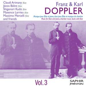 Doppler: Musique pour flûte et piano, deux flûtes et formations diverses Vol. 3