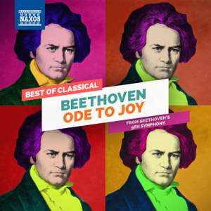 Beethoven: Symphony No. 9 in D minor, Op. 125 'Choral' - Presto - Allegro assai (excerpt)