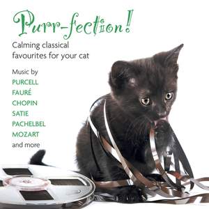 Purr-fection! Calming Classical Favourites For Your cat