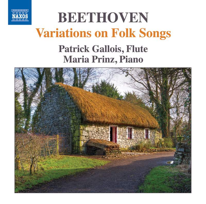 Beethoven: Works for Flute, Vol. 1 - Naxos: 8573569 - CD or