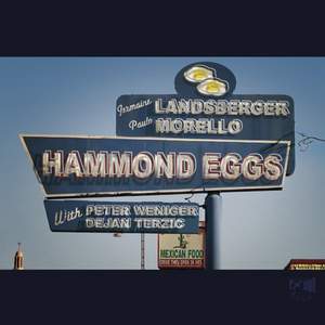 Hammond Eggs