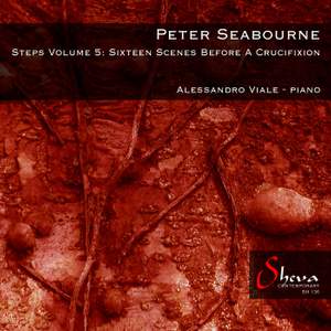 Peter Seabourne: Steps Volume 5