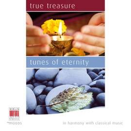 IN HARMONY WITH CLASSICAL MUSIC – Classical Comfort