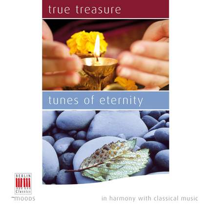 IN HARMONY WITH CLASSICAL MUSIC – Classical Comfort