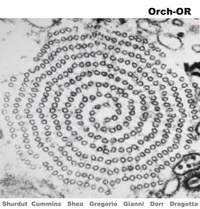 Orch-OR