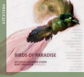 Birds of Paradise