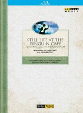 Still Life at the Penguin café