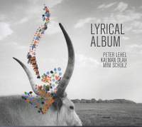 Lyrical Album