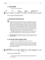 Flute Sound Effects Product Image