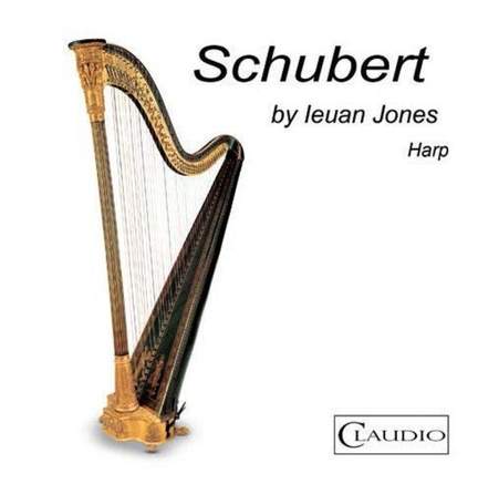 Schubert by Ieuan Jones