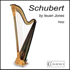 Schubert by Ieuan Jones