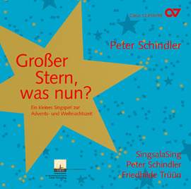 Peter Schindler: Großer Stern, was nun?