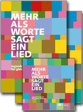 Mehr als Worte sagt ein Lied