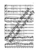 The Galway Piper Product Image
