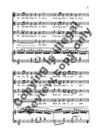 The Galway Piper Product Image