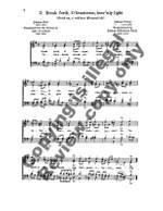 Johann Sebastian Bach: 28 Chorales Product Image