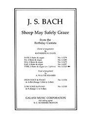 Johann Sebastian Bach: Sheep May Safely Graze
