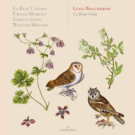 Boccherini: La Bona Notte