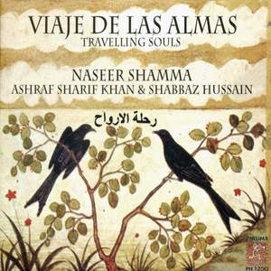 Viaje de las Almas – Travelling Souls