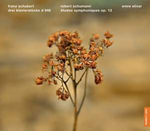 Schubert & Schumann: Piano Works