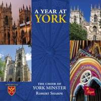 A Year at York