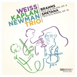Smetana & Brahms: Piano Trios