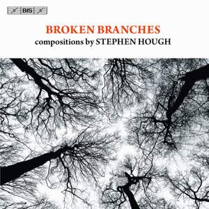 Broken Branches Product Image