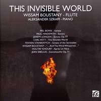 THIS INVISIBLE WORLD