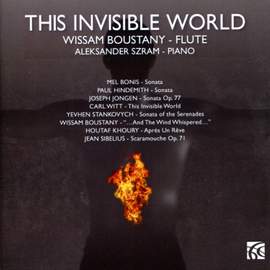 THIS INVISIBLE WORLD