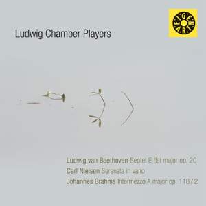 String Chamber Music