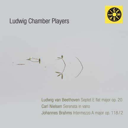 String Chamber Music