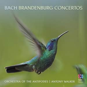 JS Bach: Brandenburg Concertos & Sinfonias from the Cantatas