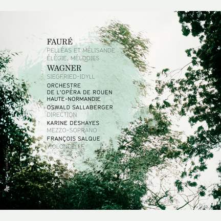 Fauré & Wagner