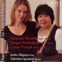 Kammermusik Für Flöte Und Klavier