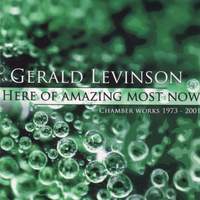 LEVINSON, G.: Here of amazing Most Now / Trio for Clarinet, Cello and Piano / Consolation / Duo for Violin and Piano / Ragamalika (Freeman)