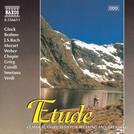 Night Music, Vol. 11