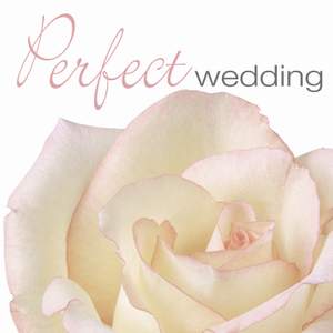 PERFECT WEDDING
