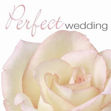 PERFECT WEDDING