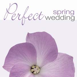 PERFECT SPRING WEDDING