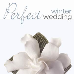 PERFECT WINTER WEDDING