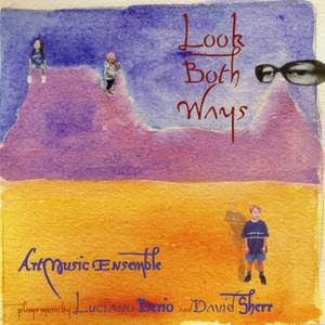 ART MUSIC ENSEMBLE: Look Both Ways