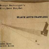 GLORYLAND PONYCAT: Black Ants Crawling