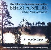 Bergslagsbilder