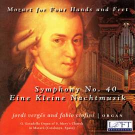 Mozart for 4 Hands and Feet